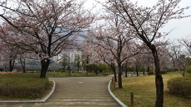 蓮池公園内の風景